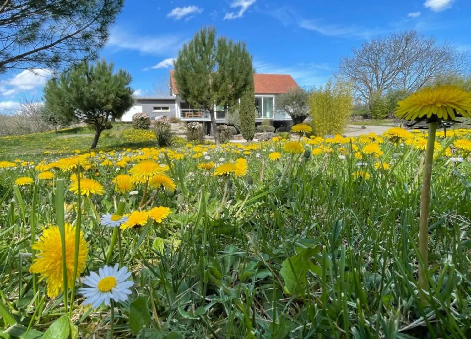 Villa Gite Causses Cocottes 4 Epis Gites De France Et 4 Etoiles Meuble De Tourisme Maison D'Architecte Sur 5800 M2 De Terrain Salvagnac-Cajarc